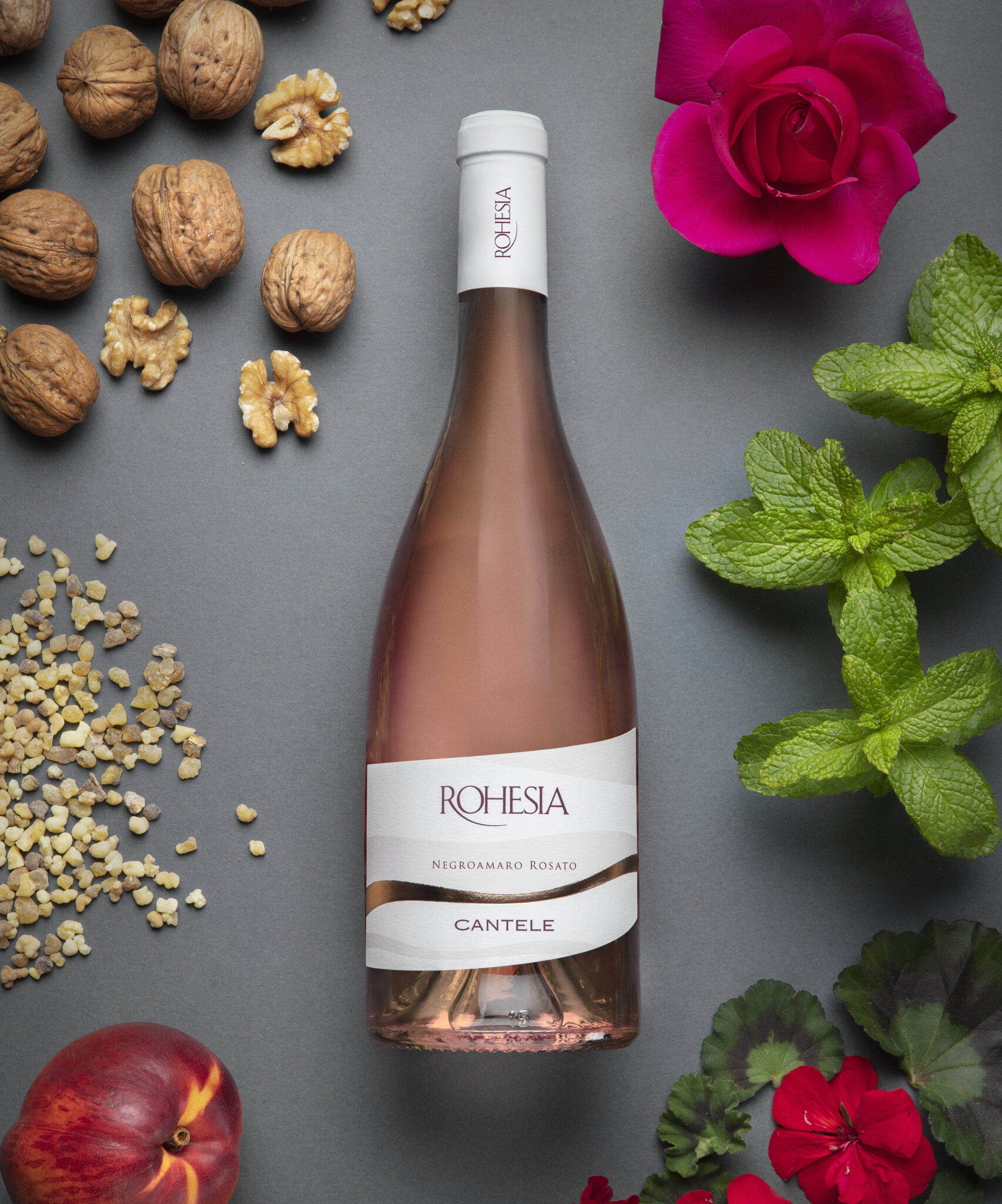 testing_rohesiaNegroamaro